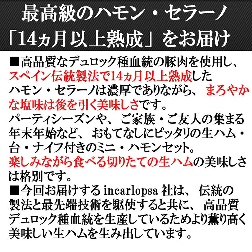 楽しい体験 生ハム ミニ 原木 セット 1kg  台 ナイフ 付 14ヵ月熟成 ハモンセラーノ ブロック お取り寄せ 高級 お歳暮ハムギフト