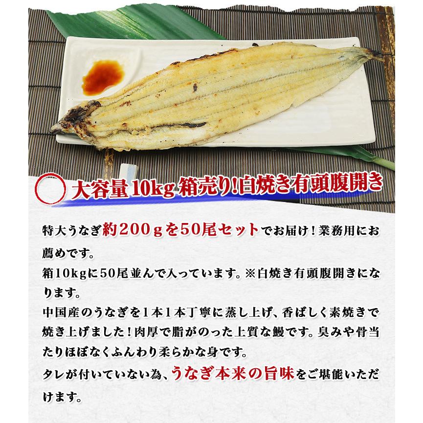 うなぎ 白焼き 有頭腹開き 特大 200g×50尾 10kg 業務用 中国産 送料無料 冷凍便 鰻 お取り寄せ