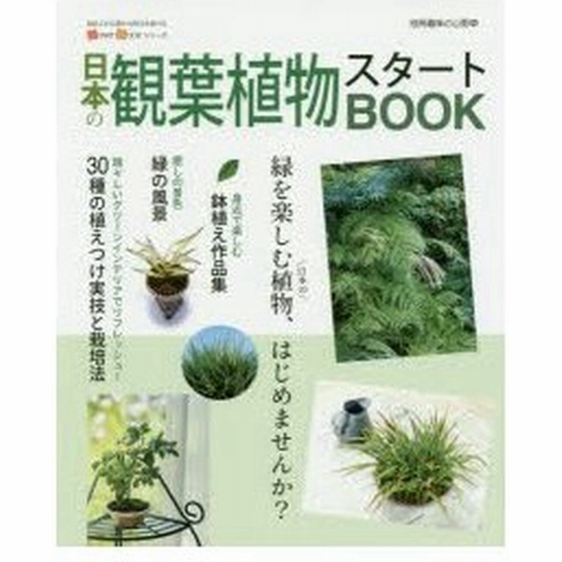 新品本 日本の観葉植物スタートbook 通販 Lineポイント最大0 5 Get Lineショッピング