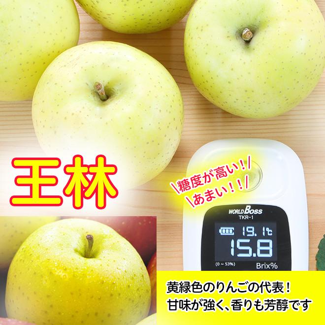 りんご サンふじ 王林 ミックス 葉とらず 10kg (28玉〜36玉入り) 訳あり 産地直送 青森県産 リンゴ 林檎 あまい 果物 くだもの フルーツ 11月下旬より発送