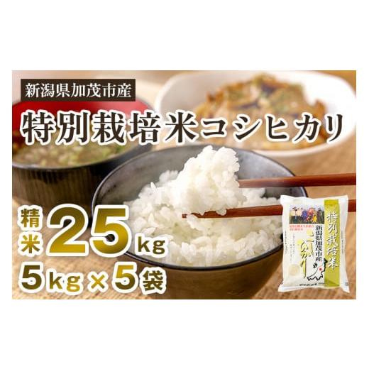 ふるさと納税 新潟県 加茂市 新潟県加茂市産 特別栽培米コシヒカリ 精米25kg（5kg×5）白米 従来品種コシヒカリ 加茂有機米生産組合