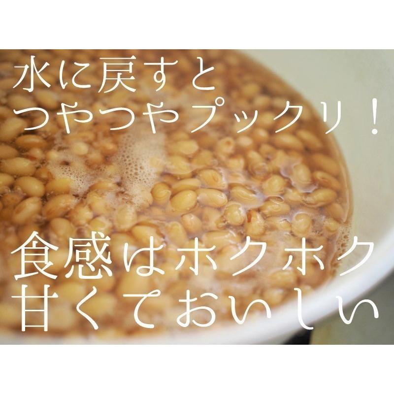 大豆 北海道産 とよまさり 10kg(5kgx2)　ユキホマレ 国産大豆 味噌 豆乳 豆腐用 味噌作り