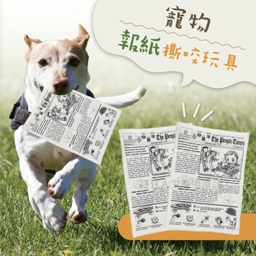 寵物撕咬報紙玩具 聞嗅耐咬玩具 響紙玩具 耐咬 寵物玩具 貓狗玩具