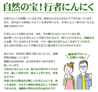 冷凍天然行者にんにく500g 旬の時期に収穫し冷凍