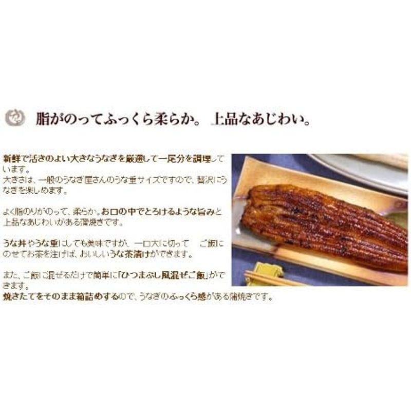 浜名湖山吹 うなぎの長蒲焼き（大） 4本