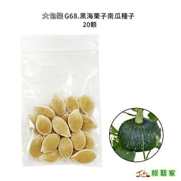 大包裝G68.黑海栗子南瓜種子20顆  板栗南瓜 栗子南瓜 南瓜  F1生長強勢 低溫生長旺盛 產量高 香氣濃【綠藝家】
