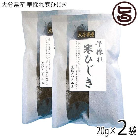 大分県産 早採れ寒ひじき 20g 2袋セット 山忠