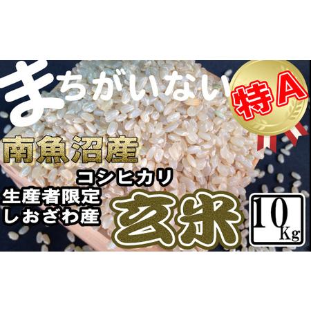 ふるさと納税 玄米 生産者限定 南魚沼しおざわ産コシヒカリ10Kg 新潟県南魚沼市