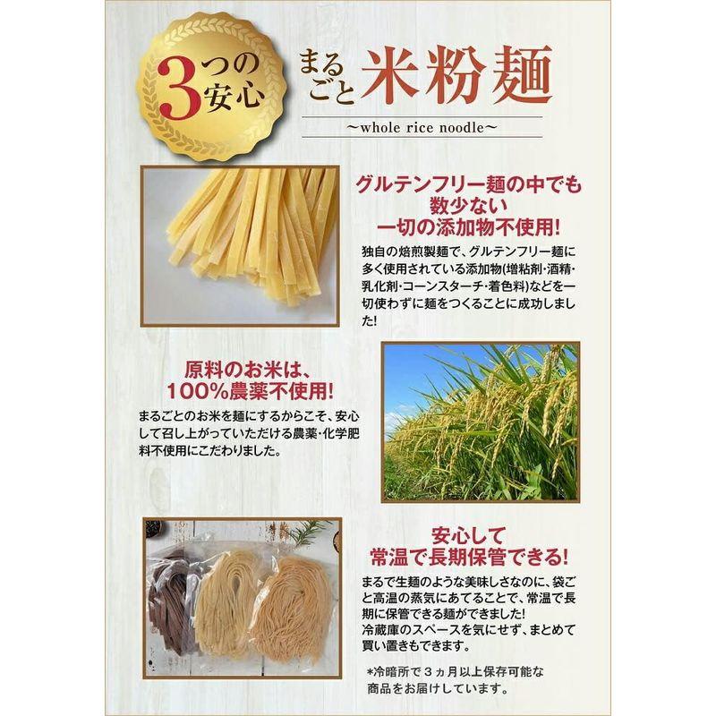 3種のまるごと米粉麺 無農薬 モチモチ玄米パスタ＆うどん 無添加 有機のグルテンフリースパゲティ