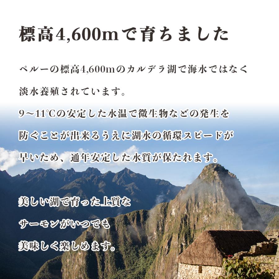 サーモン 半身 冷凍 500g 刺身用 お歳暮 御歳暮 2023 プレゼントフィレ 鮭 皮なし 海鮮丼 ギフト