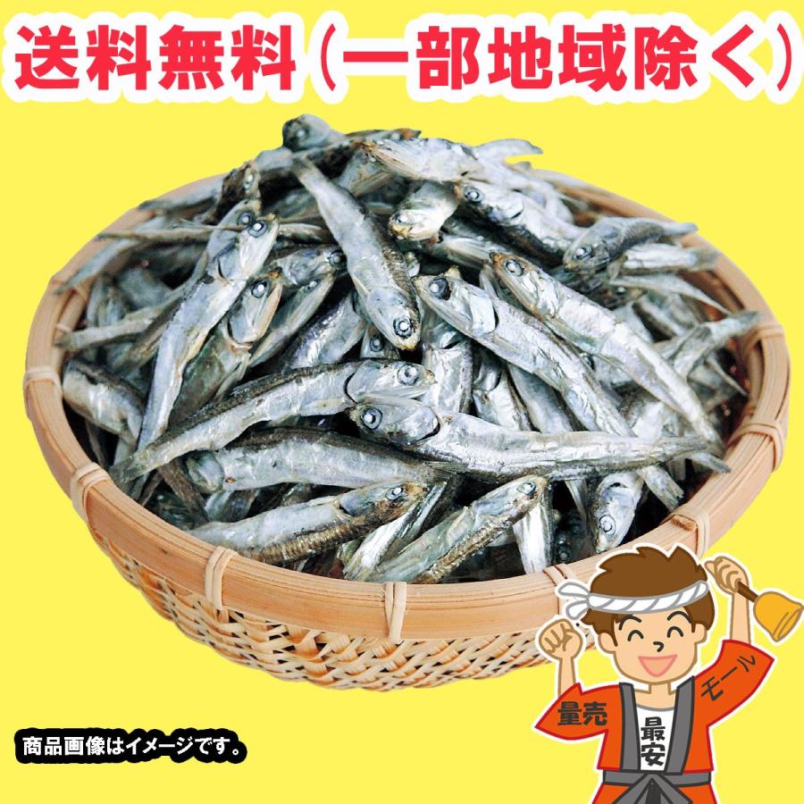 伊吹いりこ 煮干し 1kg 箱入 2022年物 丸忠笠井海産 送料無料（北海道・東北・沖縄除く）