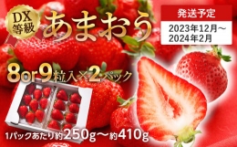 福岡県田川市産 あまおう（8粒or粒9入り×2パック） いちご 苺