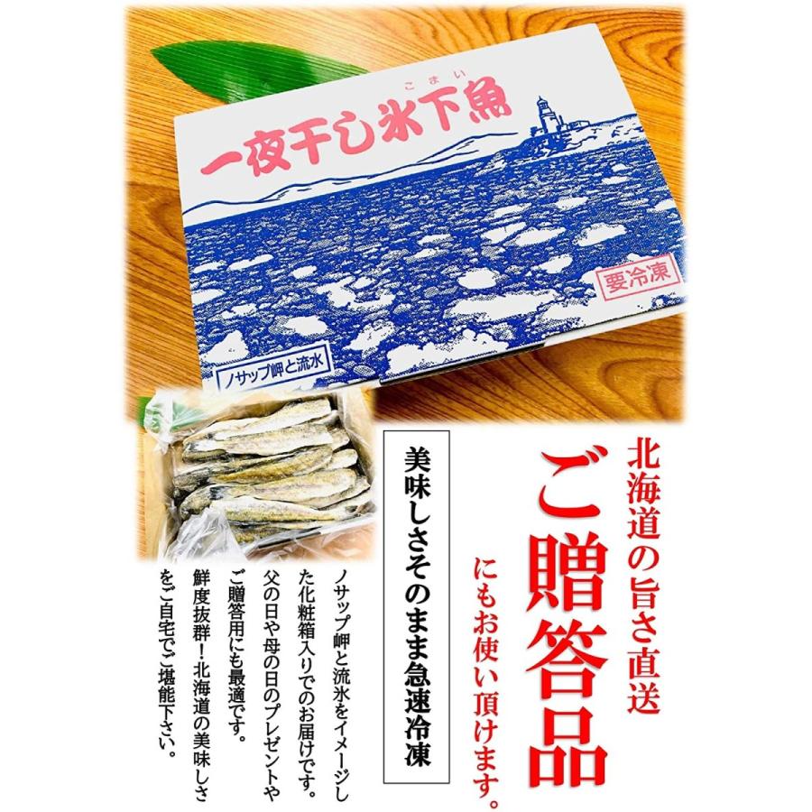 コマイ 一夜干し 1kg北海道 根室産 ＭＳサイズ 約３０尾前後入) 化粧箱入り 北の美味しさ！満天☆青空レストランでも紹介されました！ 氷下魚 こまい 干物