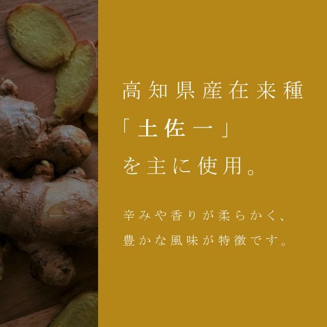 生姜生姜粉末 国産 高知県産生姜100%使用 生姜パウダー 60g GINGER POWDER 高知県産生姜 蒸し生姜 ジンジャーパウダー 非常食