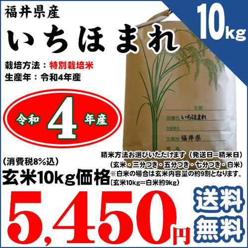 福井県 特別栽培米 いちほまれ 玄米10kg（精米方法お選びいただけます） 令和5年産