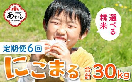 《定期便6回》にこまる 5kg（計30kg）＜選べる精米！食味値85点以上！低農薬栽培＞ ／ 高品質 鮮度抜群 福井県 あわら産 ブランド米 玄米