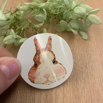 客製手繪動物大頭_圓形銅板貼紙款_500張