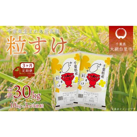 ふるさと納税 ＜3ヶ月定期便＞千葉県産「粒すけ」10kg×3ヶ月連続 計30kg   どっちのふるさと TV フジテレビ 新米粒すけ 令和5年産粒す.. 千葉県大網白里市