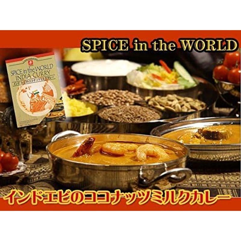 無添加 本格インドカレー  タイカレー 9種類 セット （即席 インスタント レトルト カレー)