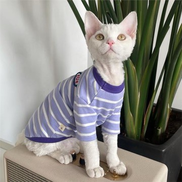 圖圖德文貓衣服無毛貓衣服通用款純棉條紋T恤5種顏色可選春夏新款