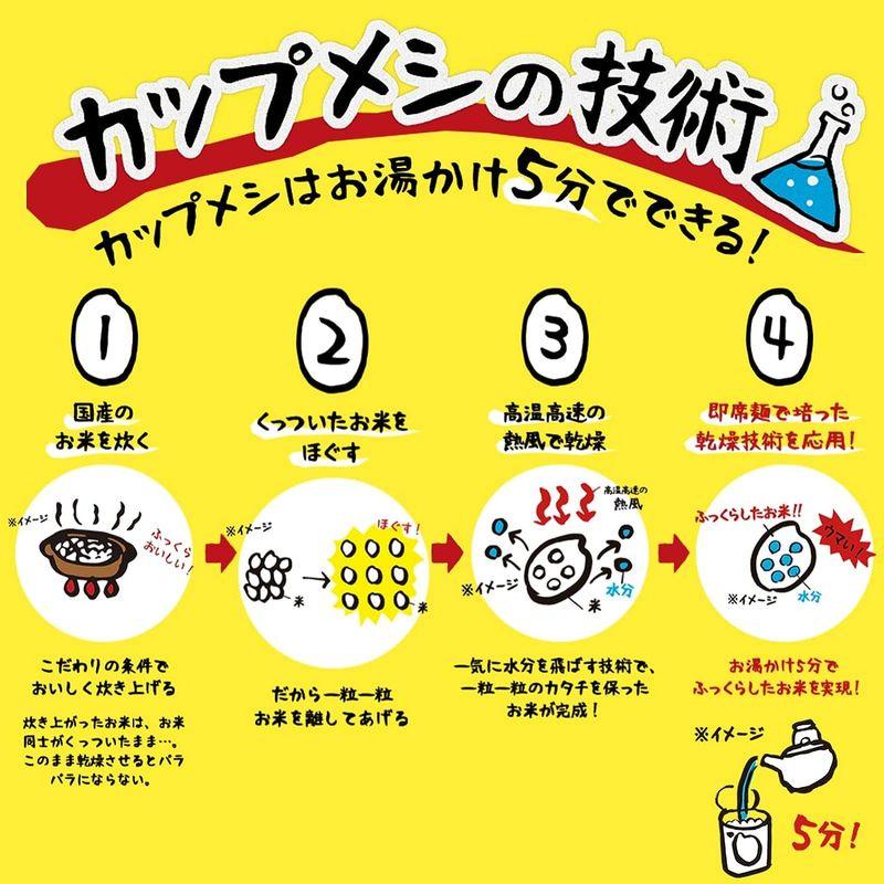 日清食品 日清バターチキン カレーメシ まろやか 100g×6個