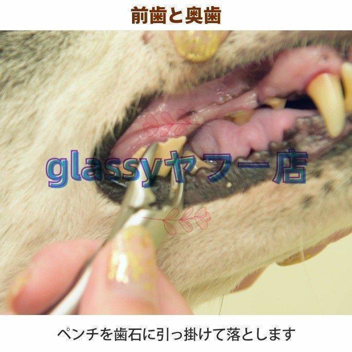 愛犬・愛猫用 歯石取り ペンチ 犬 歯石 デンタルケア ホームケア 猫 プロも愛用