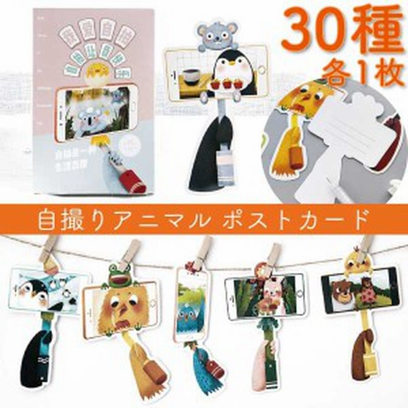 自撮り アニマル ポストカード メッセージカード 文具 しおり 動物 自撮り棒 可愛い 雑貨 手紙 猫 犬 熊 メール便送料無料 9715 通販 Lineポイント最大1 0 Get Lineショッピング