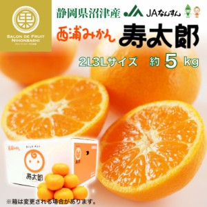 [予約 2月1日から3月20日のご納品]   寿太郎 みかん 約5kg 2L3Lサイズ 静岡県産 貯蔵 熟成 ご贈答 プレゼント ギフト 青島みかん 西浦ミ