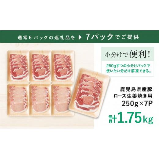 ふるさと納税 鹿児島県 南さつま市 畜産王国鹿児島の 豚ロース 生姜焼き用 1.75kg ★年内配送★ 肉 お肉 炒め物 生姜焼き 豚肉 かごしま 鹿児島県産…