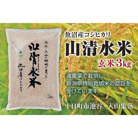 ふるさと納税  新潟県魚沼産コシヒカリ「山清水米」玄米３kg 新潟県十日町市