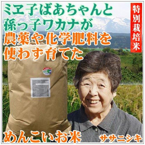 秋田県産 ＜令和5年産＞ ササニシキ 農薬・化学肥料不使用 めんこいお米 30kg