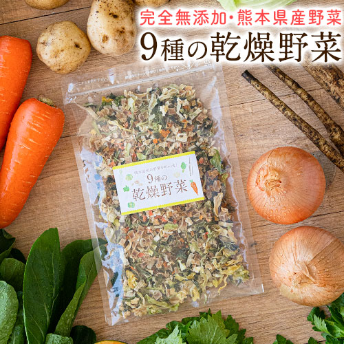 9種の国産野菜 乾燥野菜 完全無添加 完全国産 熊本県産 100g