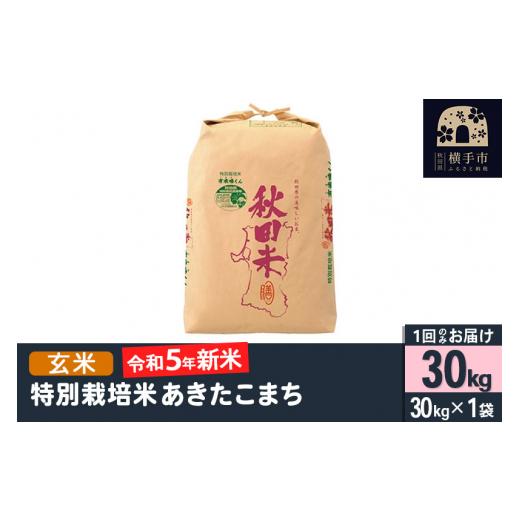 ふるさと納税 秋田県 横手市 令和5年産 特別栽培米あきたこまち（２等米） 30kg