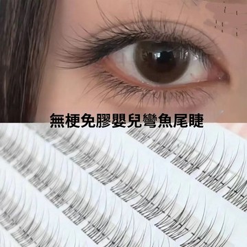 無梗免膠魚尾假睫毛 透明嬰兒彎假睫毛 自然分段單簇假睫毛 媽生日常素顏假睫毛 新手平價仿真假睫毛 根根分明 纖細捲翹
