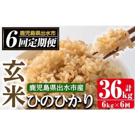 ふるさと納税 鹿児島県 出水市 i542 ＜定期便・計6回(連続)＞鹿児島県出水市産ひのひかり玄米＜(3kg×2袋・計6kg)×全6回＞