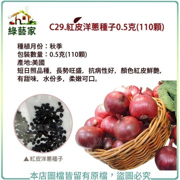 【綠藝家】C29.紅皮洋蔥種子0.5克(110顆)根莖類種子