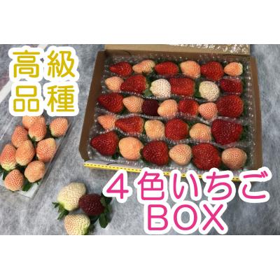 ふるさと納税 奈半利町 高級品種4色いちごBOX　110001