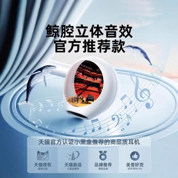有線耳機入耳式typec接口適用蘋果iphone16/15promax手機ipad/Mac