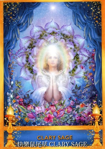 快樂鼠尾草 CLARY SAGE【5*7吋美國進口正版作品】精靈天使精油神諭卡 - 精油天使系列畫