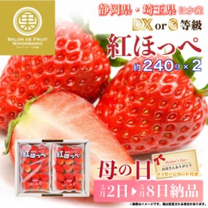 [予約 2024年1月5日-1月30日の納品] 紅ほっぺ いちご DX または G 等級 約240g×2 静岡県産ほか