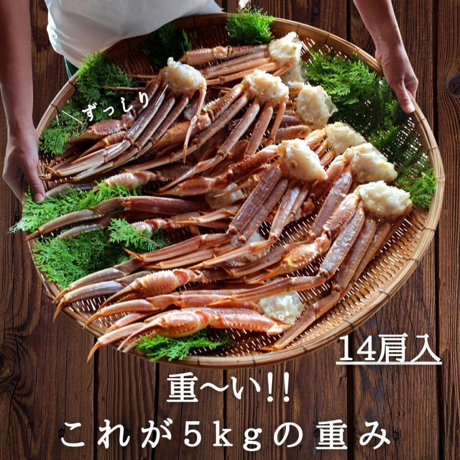 最高級　船凍品生ずわいがにオピリオ種4L  5ｋｇ　14肩　かに カニ 蟹 ずわい ズワイガニ ズワイ かに鍋 カニ鍋 10人前以上　鮮度抜群　大容量