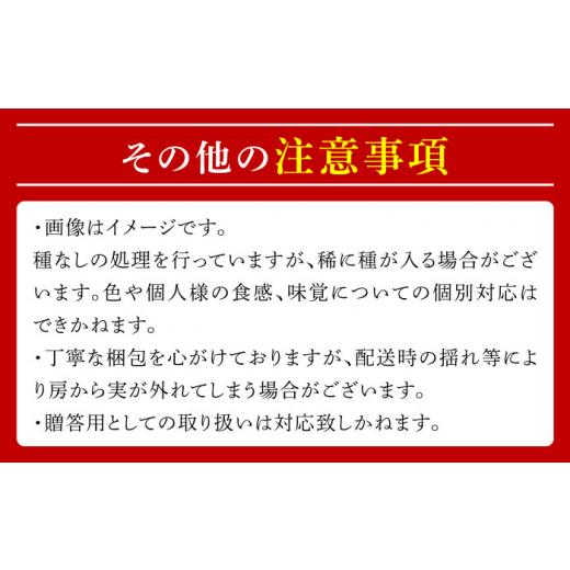 ふるさと納税 長崎県 南島原市 シャインマスカット 約2kg（約2〜5房）／ ぶどう ブドウ 葡萄 マスカット フルーツ 果物 ／ 南島原市 ／ 長崎県農産品流通合同…