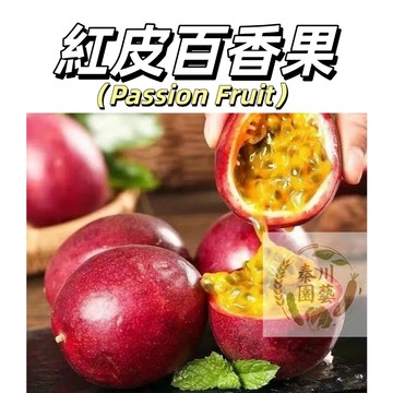 嘉義現貨（紅皮百香果種子BXG-3）水果之王~ 超甜高產耐高溫熱帶新手四季播種爬藤水果種子