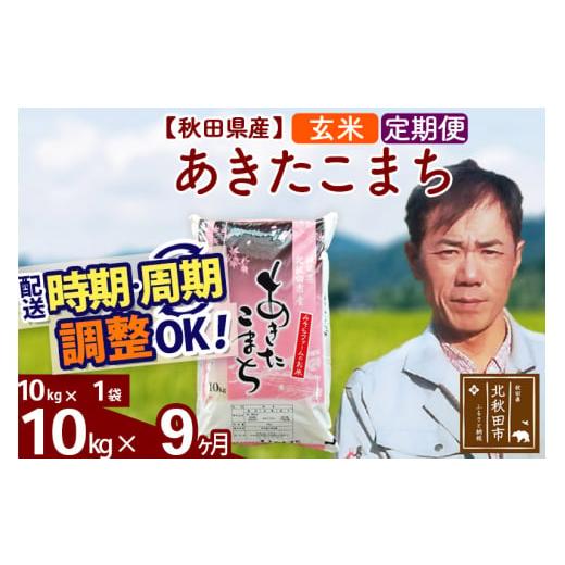 ふるさと納税 秋田県 北秋田市 《定期便9ヶ月》＜新米＞秋田県産 あきたこまち 10kg(10kg袋) 令和5年産 お届け時期選べる 隔月お届けOK お米 みそらフ…