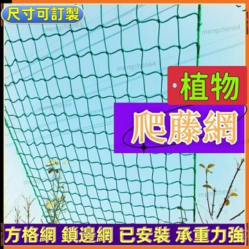 植物爬藤網 家庭園藝用網 園藝網 攀藤網 攀爬網百香果種植絲瓜弔瓜葡萄豆角苦瓜黃瓜攀爬月季花農用 搭架網