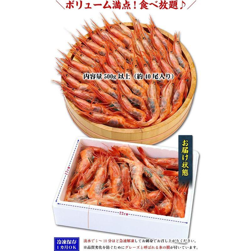 子持ち越前甘えび500g 約40尾入りエビえび海老あまえびアマエビ甘エビ