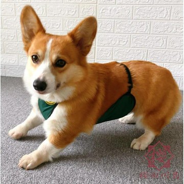 狗狗肚兜防著涼保暖防水肚兜【櫻田川島】