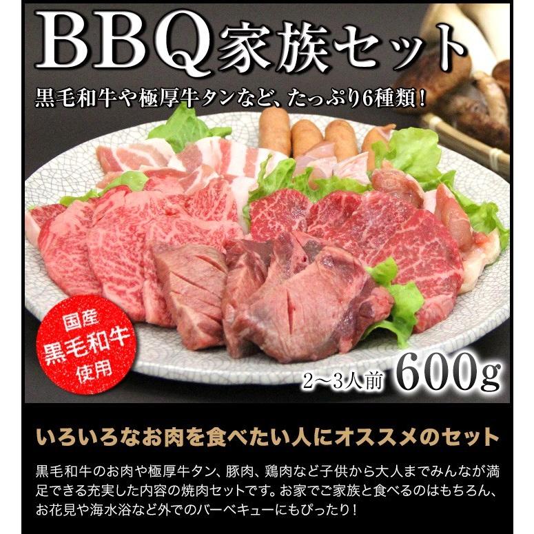 焼肉 セット 国産 国産牛 バーベキュー 肉 黒毛和牛 カルビ bbq 家族セット 600g