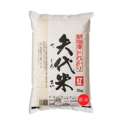 令和5年度産新米！新潟こしひかり 矢代米(やしろまい) 精米 ５ｋｇ (1袋)