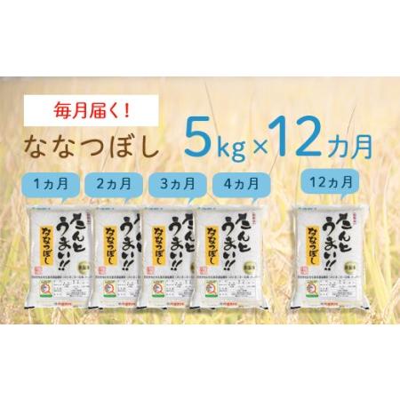 ふるさと納税 1004　《令和5年度産 新米》12ヵ月！毎月届く定期便ななつぼし「たんとうまい」５kg 北海道厚真町